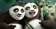 ''Kung Fu Panda 3'': Nowa walka [RECENZJA]