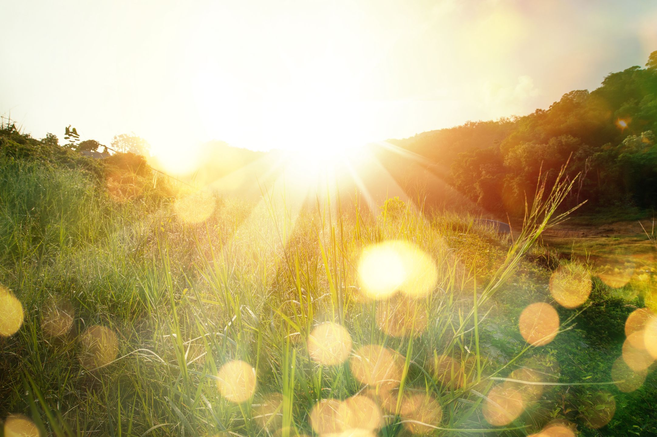 Meadow landscape refreshment with sunray and golden bokeh.
Beautiful sunrise in the mountain.
abstract, background, bokeh, bright, cool attitude, country, countryside, day, dreamlike, environment, evening, field, flare, forest, glitter, golden, grass, green, growing, growth, hope concept, inspiration, landscape, light, meadow, morning, motivation, mountain, nature, peaceful, pennisetum, refreshment, rural, scenic, sky, spirituality, spring, summertime, sun, sunbeam, sunflare, sunlight, sunray, sunrise, sunset, sunshine, tree, tropical, weed, wild