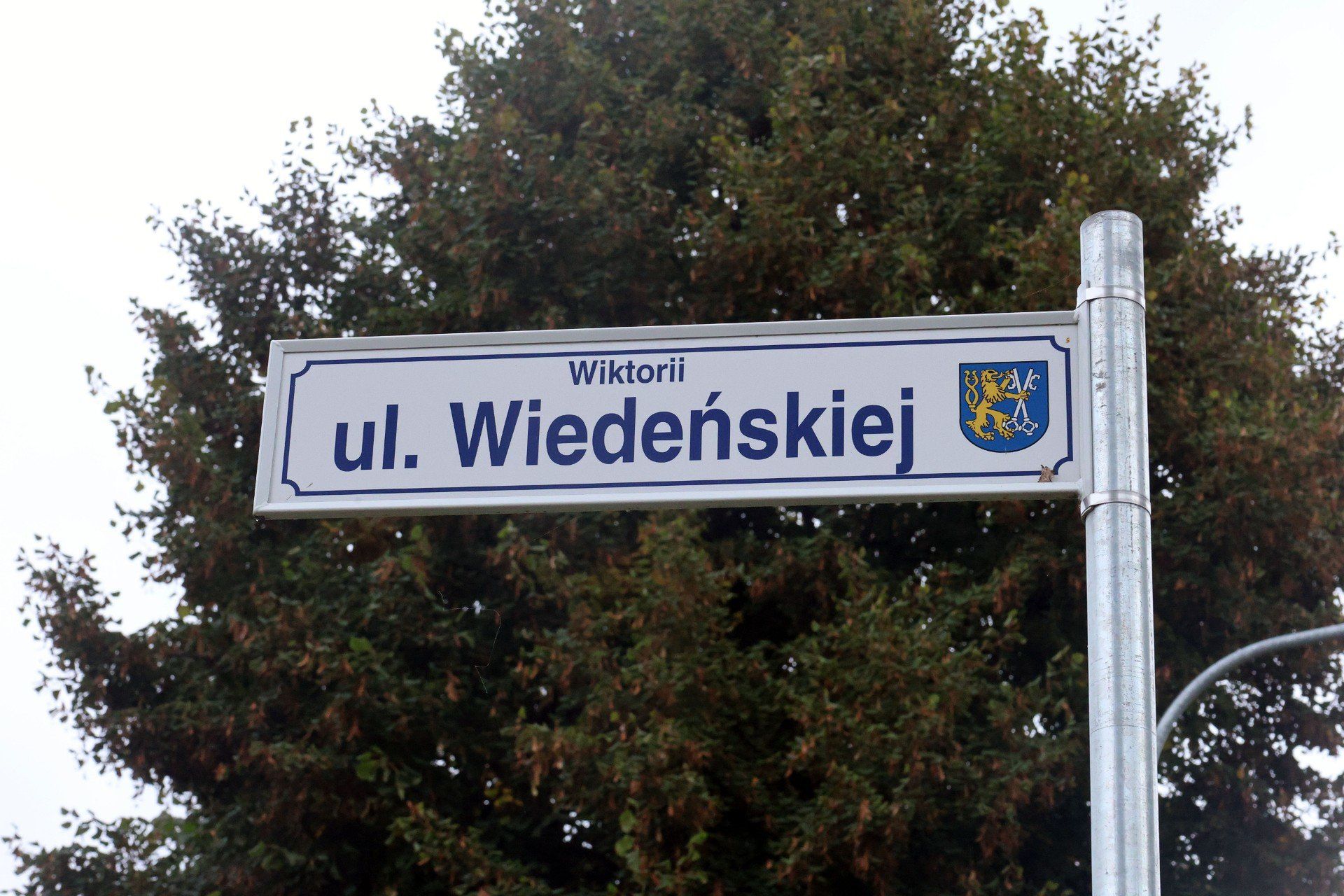 Te ulice wyremontują w 2026 roku. Tak wygląda Legnicki Program Drogowy na kolejny rok