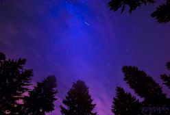 Przed nami niesamowity pokaz na niebie. Zbliża się deszcz Perseidów