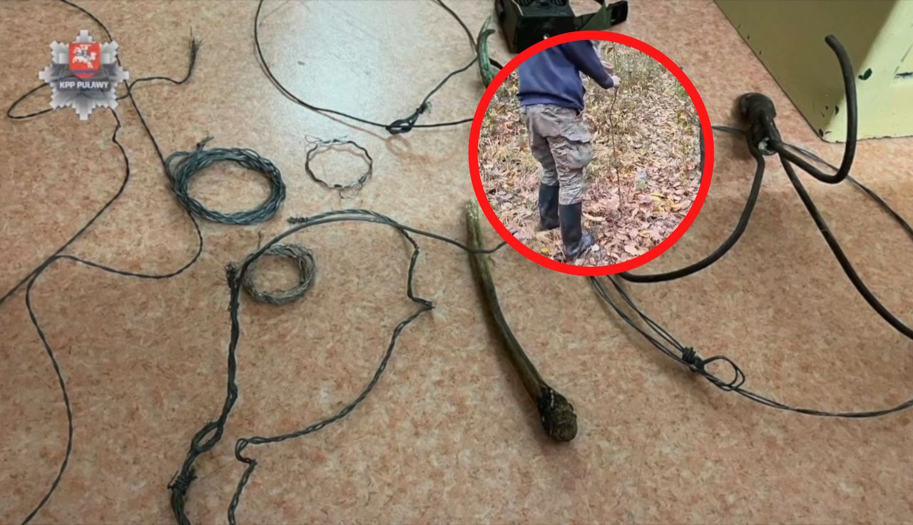 Wisiały na drzewach. Pies nie żyje. Wstrząsające, co u niego znaleźli