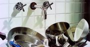 Martwa natura ożywa na zdjęciach-obrazach  [galeria]