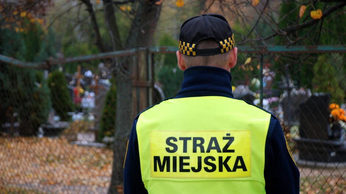 Zdjęcie ilustracyjne