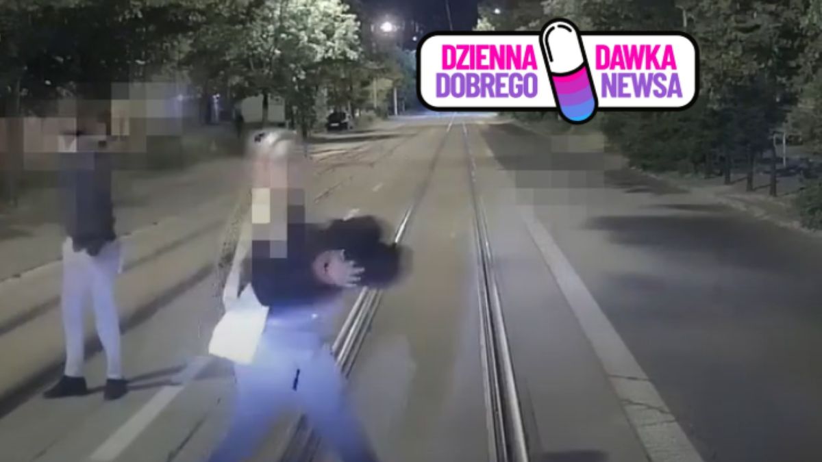 Wysiadła z tramwaju z kurtką w ręku. Uratowała jeża