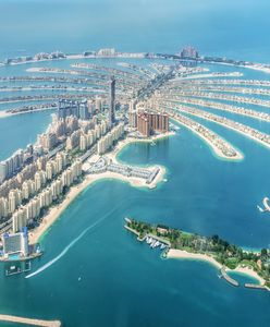 Polka uwierzyła oszustowi z Dubaju. Straciła oszczędności życia