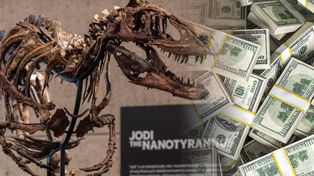 12 minut wystarczyło. Szkielet dinozaura sprzedany za fortunę