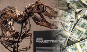 12 minut wystarczyło. Szkielet dinozaura sprzedany za fortunę
