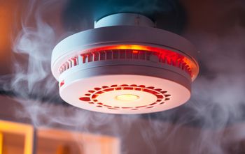 Rozdają je za darmo. Tak Poznań dba o mieszkańców