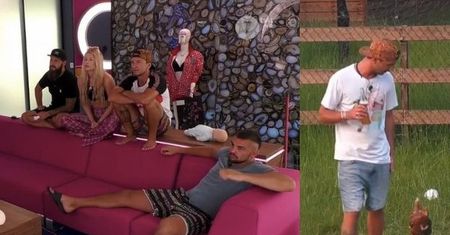 "Big Brother": zginęły kury, którymi mieli opiekować się uczestnicy. Kto za to odpowie?