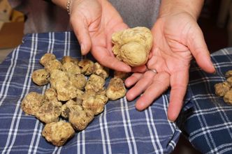 Złoto ma konkurencję. Chcą 6 tys. euro za jeden kilogram tego cudu natury