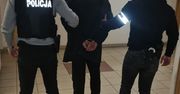 Włożyli kota do zamrażarki. Usłyszeli zarzuty za zabicie zwierzęcia