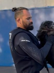 Brazil floods. MMA fighter rescues trapped dogs