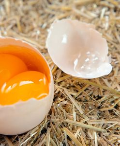 Jajka z podwójnym żółtkiem — czy nie powinniśmy ich jeść?