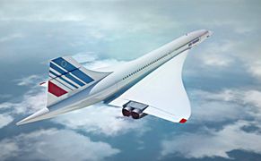 Fokus TV Poza kontrolą: Koszmar w parku rozrywki