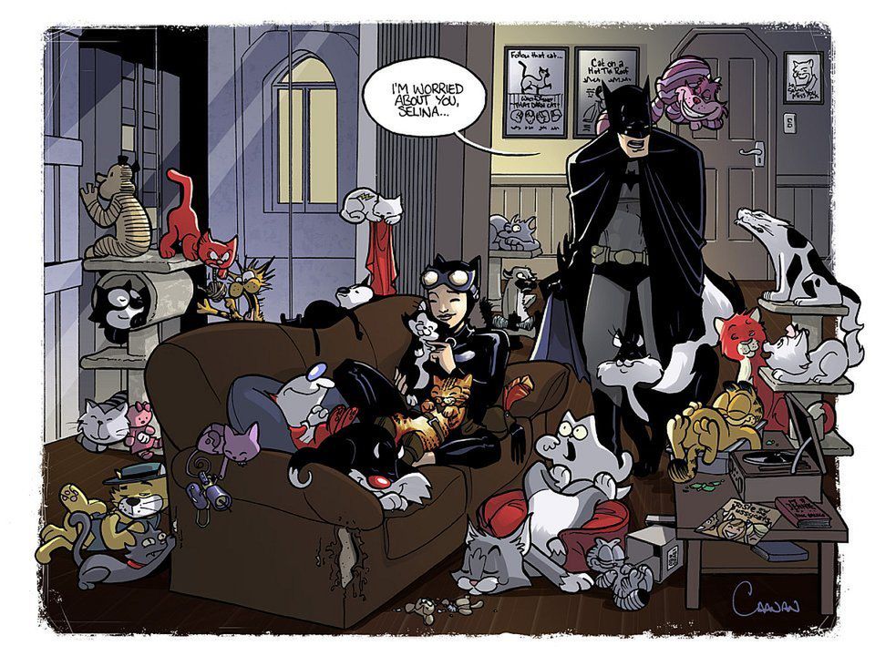 WTF dnia: Catwoman jako szalona (ale seksowna) kociara 2