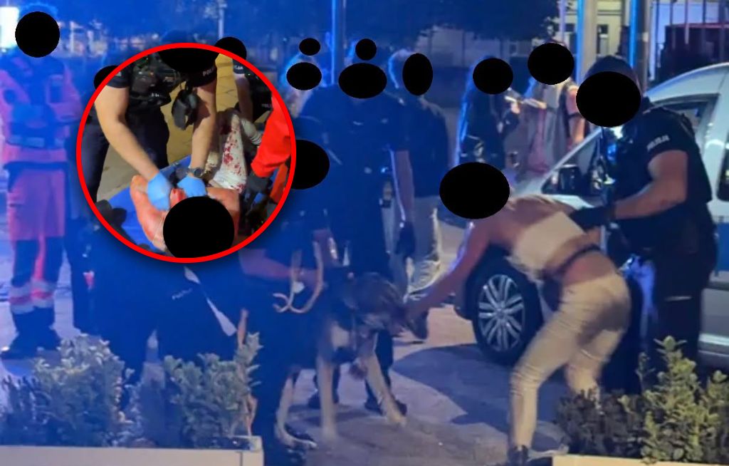 Policja walczyła z psem. Wszystko nagrywał. Obezwładnili go