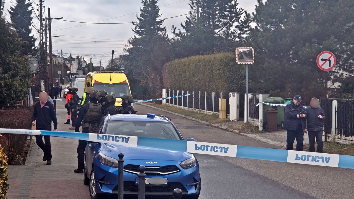 policja