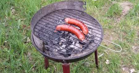 500 zł mandatu po grillu na działce. Świadek zrobił zdjęcie