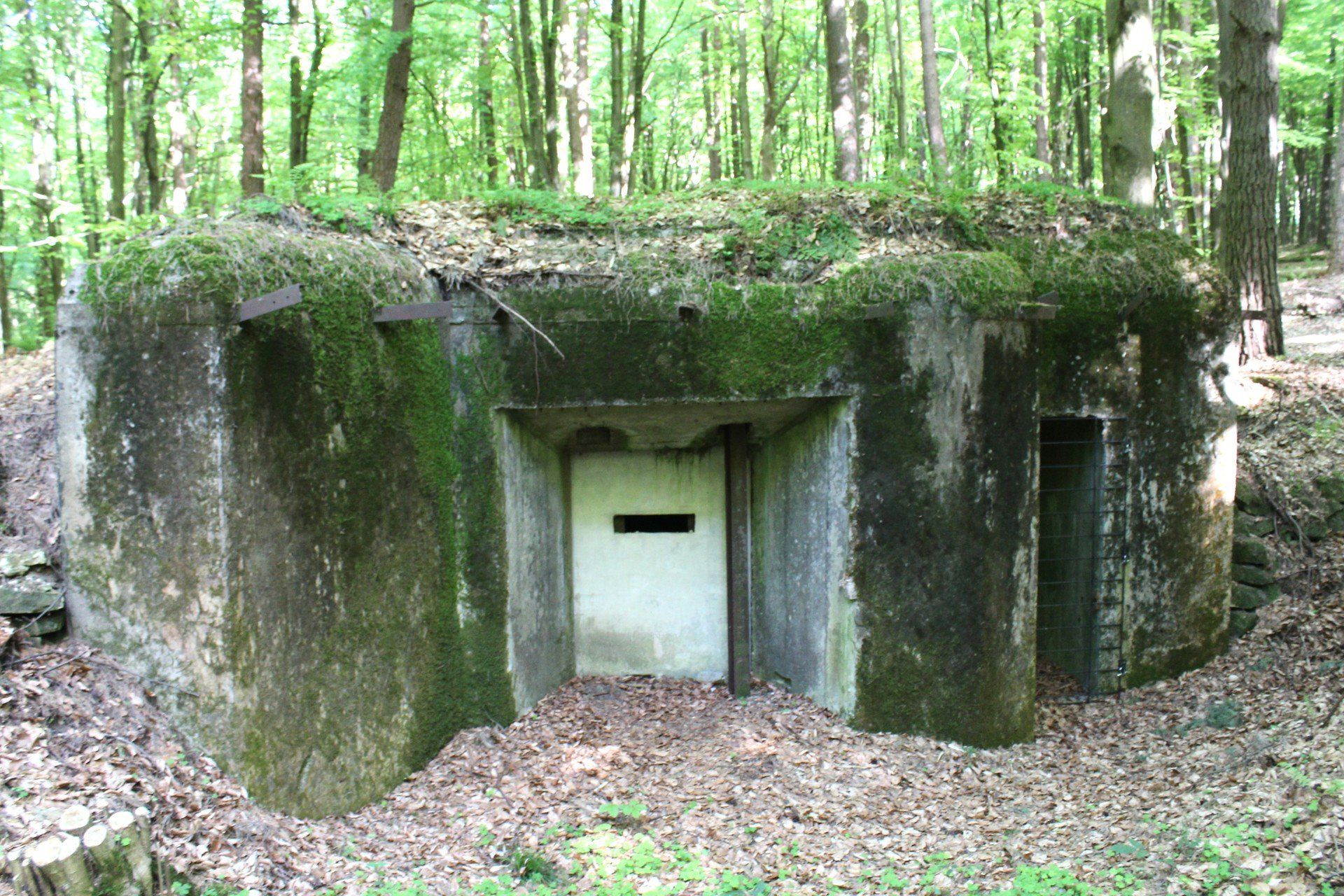 Bunkry Linii Mołotowa 