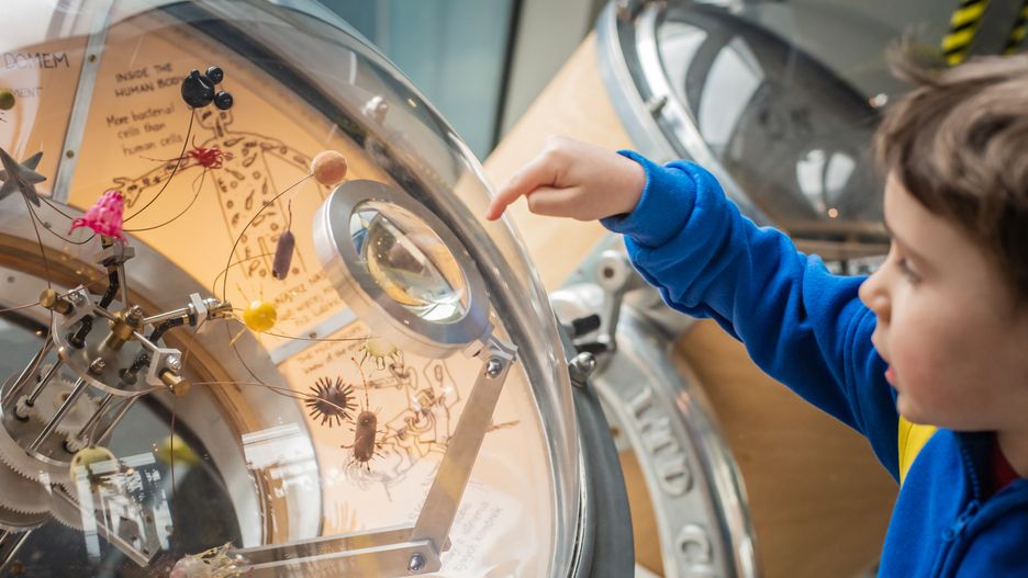 piknik naukowy/ ilustracja