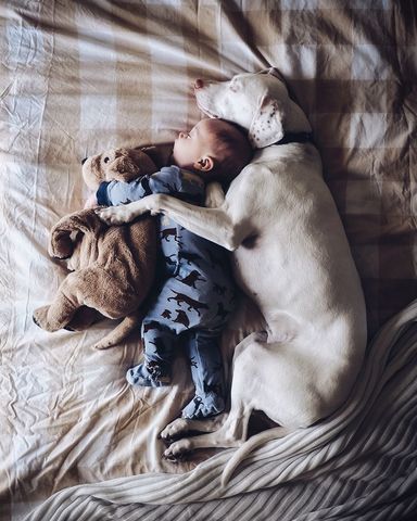 Niezwykła przyjaźń dziecka i adoptowanego psa na zdjęciach