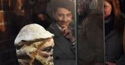 Głowa z XIV wieku już do obejrzenia w zamku w Malborku. "Widziała wszystko, co działo się w kościele zamkowym"