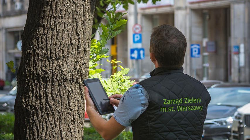 Warszawa. Trwa inwentaryzacja drzew