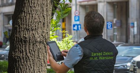 Warszawa. Miasto inwentaryzuje stołeczne drzewa