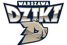 grafika