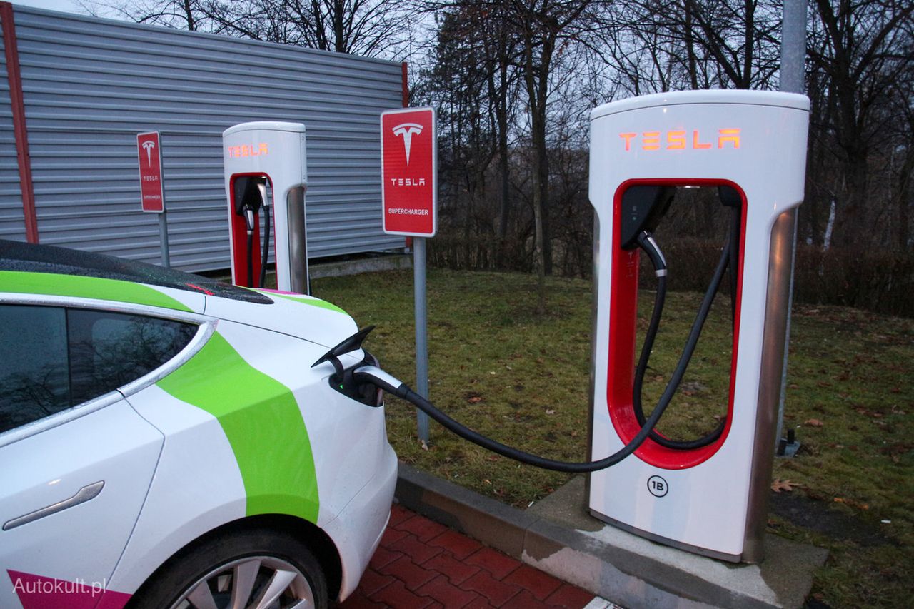 Tesla udostępnia swoje ładowarki pojazdom innych marek. Na razie tylko w Holandii