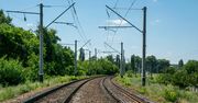 Urocze miasteczko w Polsce. Pociągi dojadą tam po raz pierwszy od 35 lat