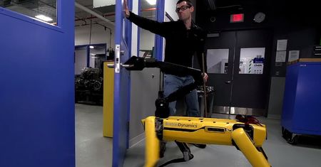 Dokuczanie robotom II - Boston Dynamics znowu to robi
