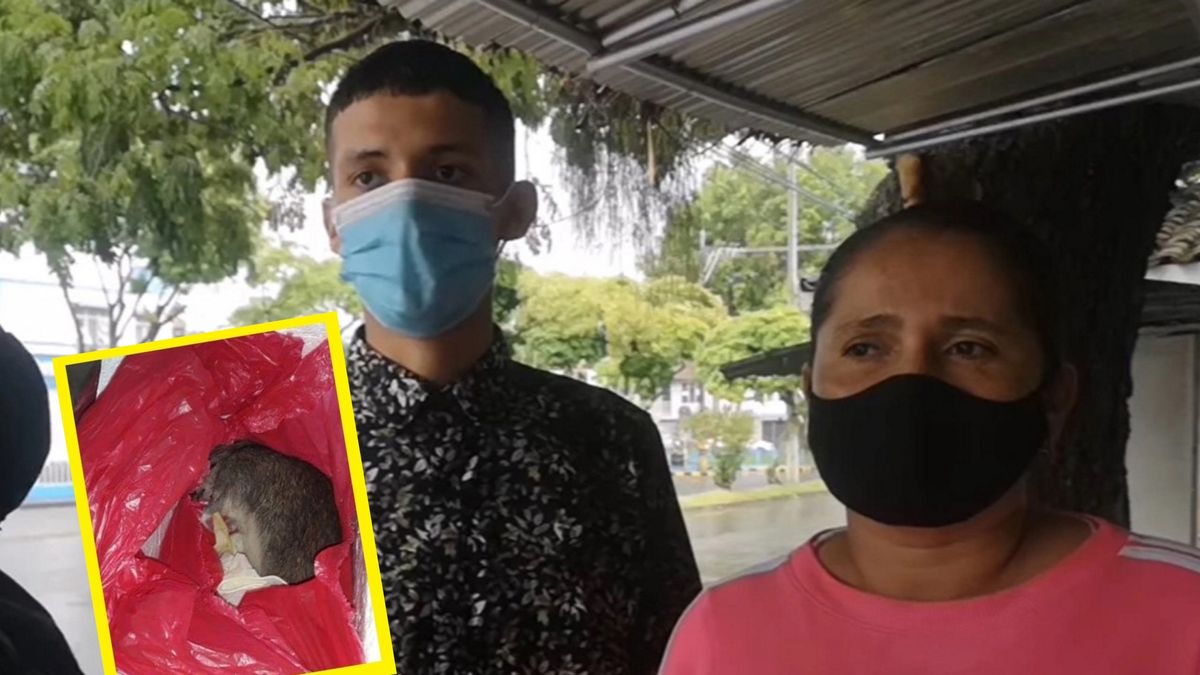 Rodzice przeżyli horror