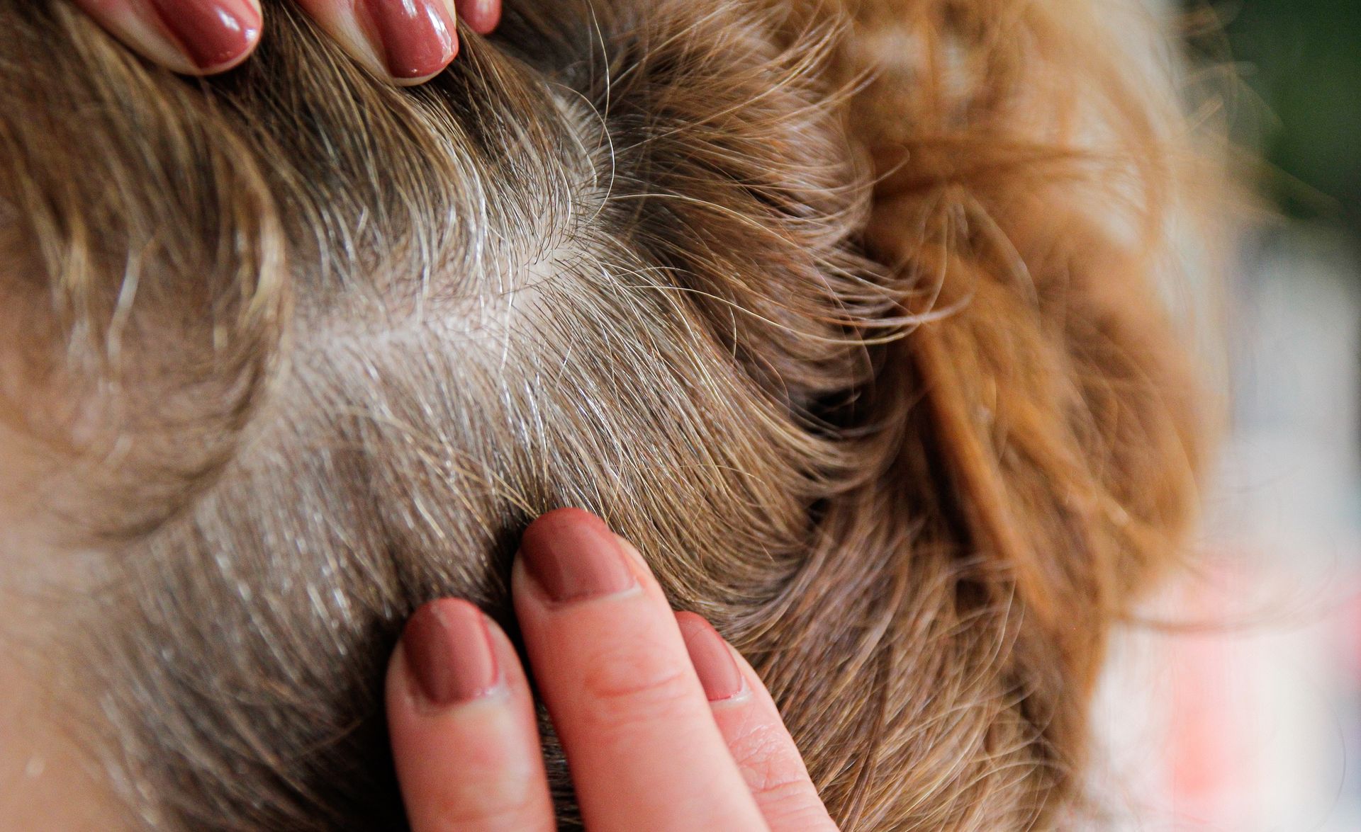 Wylej na włosy po umyciu. Siwizna zniknie w oczach