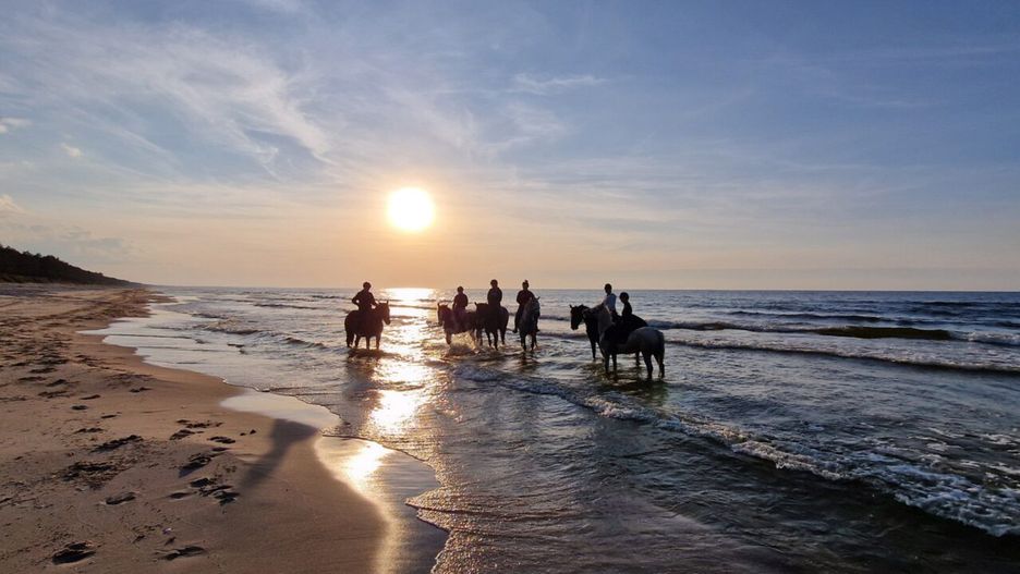 Stajnia u Bohuna Sztutowo | NaMierzeje.pl