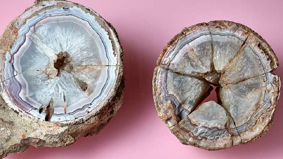 Muzeum pomyliło się w ocenie eksponatu.