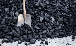 Ile kosztuje węgiel? Oto ceny w skupach przed szczytem sezonu