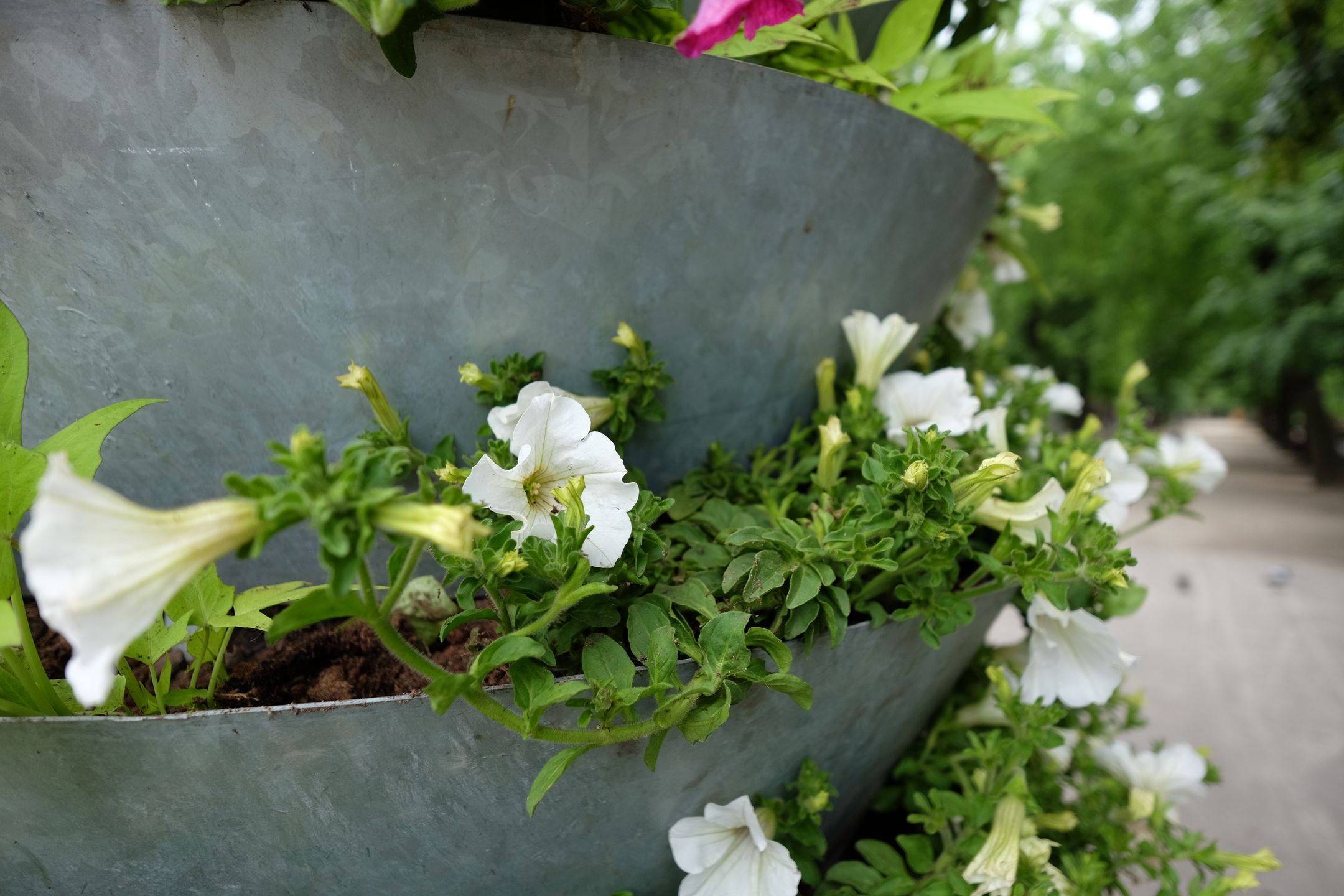 Fujifilm X-T10 – nowoczesny kompromis w dobrym stylu [test] 72