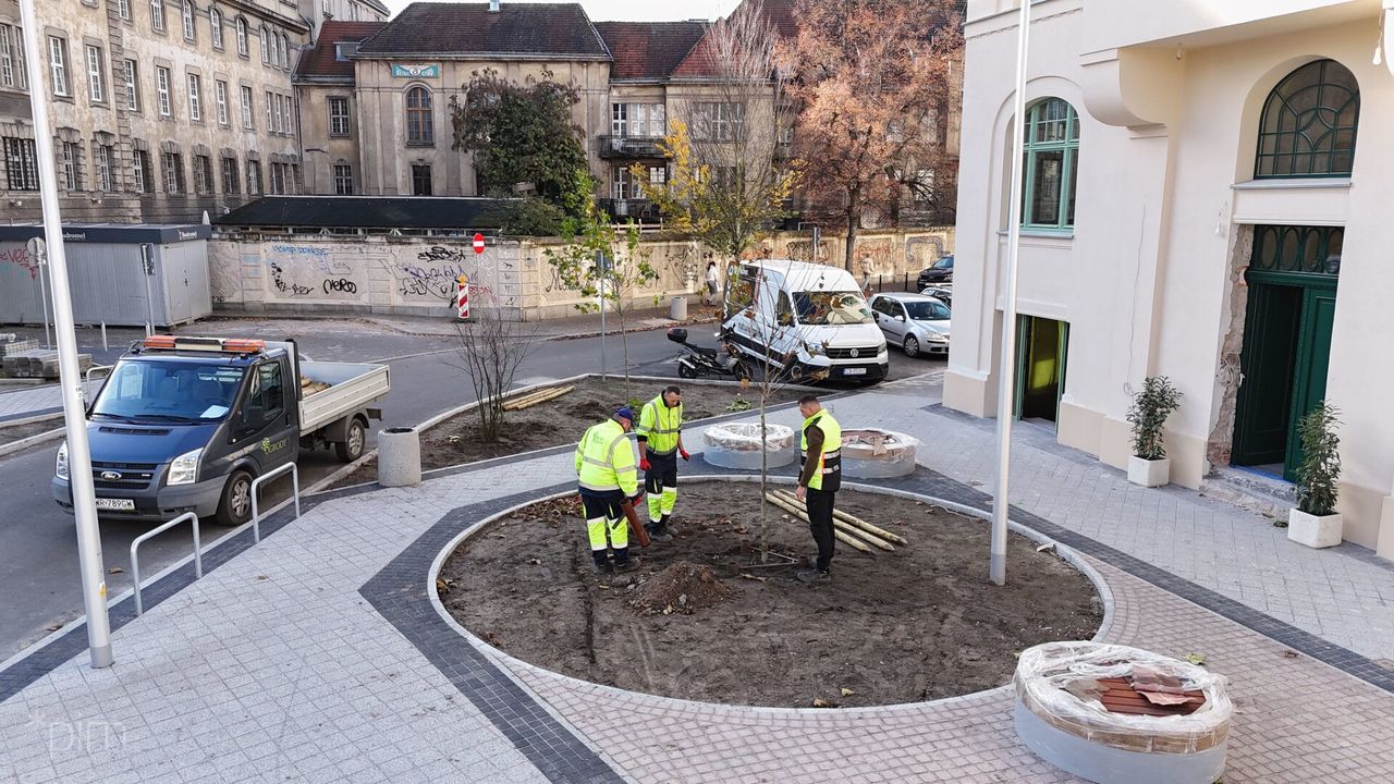 Poznań: Skrzyżowanie Taylora, Taczaka i Kościuszki z nowymi nasadzeniami