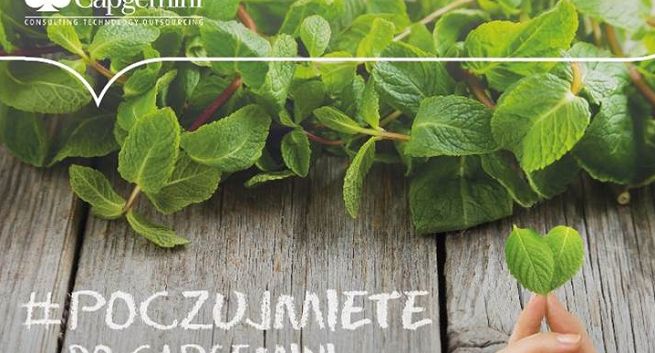 „Poczuj miętę” - Capgemini promuje się aromamarketingowo jako pracodawca