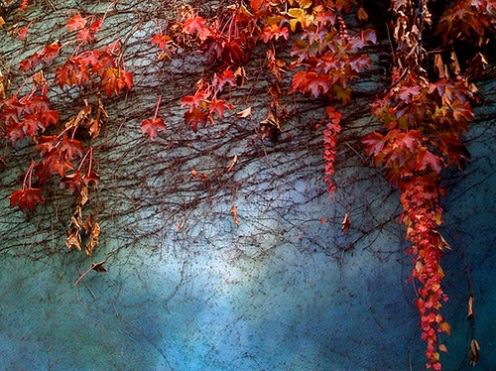 iPhone potrafi robić zdjęcia - 25 pięknych fotografii z telefonu Apple 1