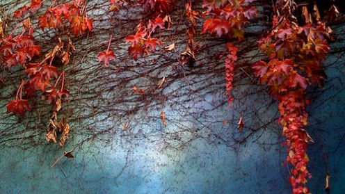 iPhone potrafi robić zdjęcia - 25 pięknych fotografii z telefonu Apple 1