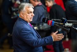 Azyl dla Romanowskiego na Węgrzech. Orban zabrał głos