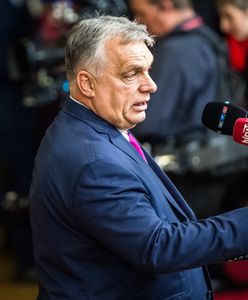 Azyl dla Romanowskiego na Węgrzech. Orban zabrał głos