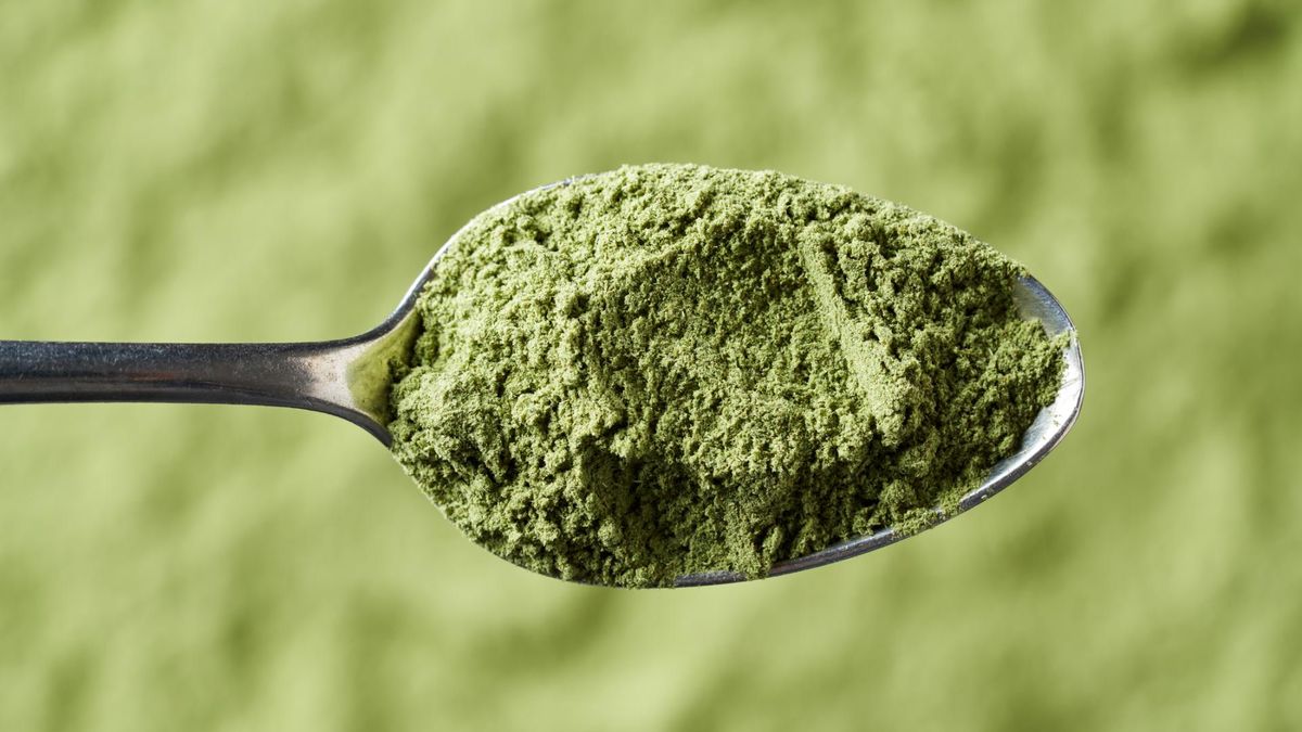 Młody jęczmień ma mnóstwo niezwykłych właściwości