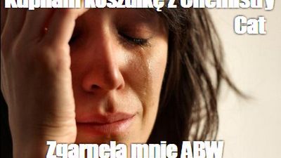 10 internetowych memów, które możesz kupić w sklepie 1