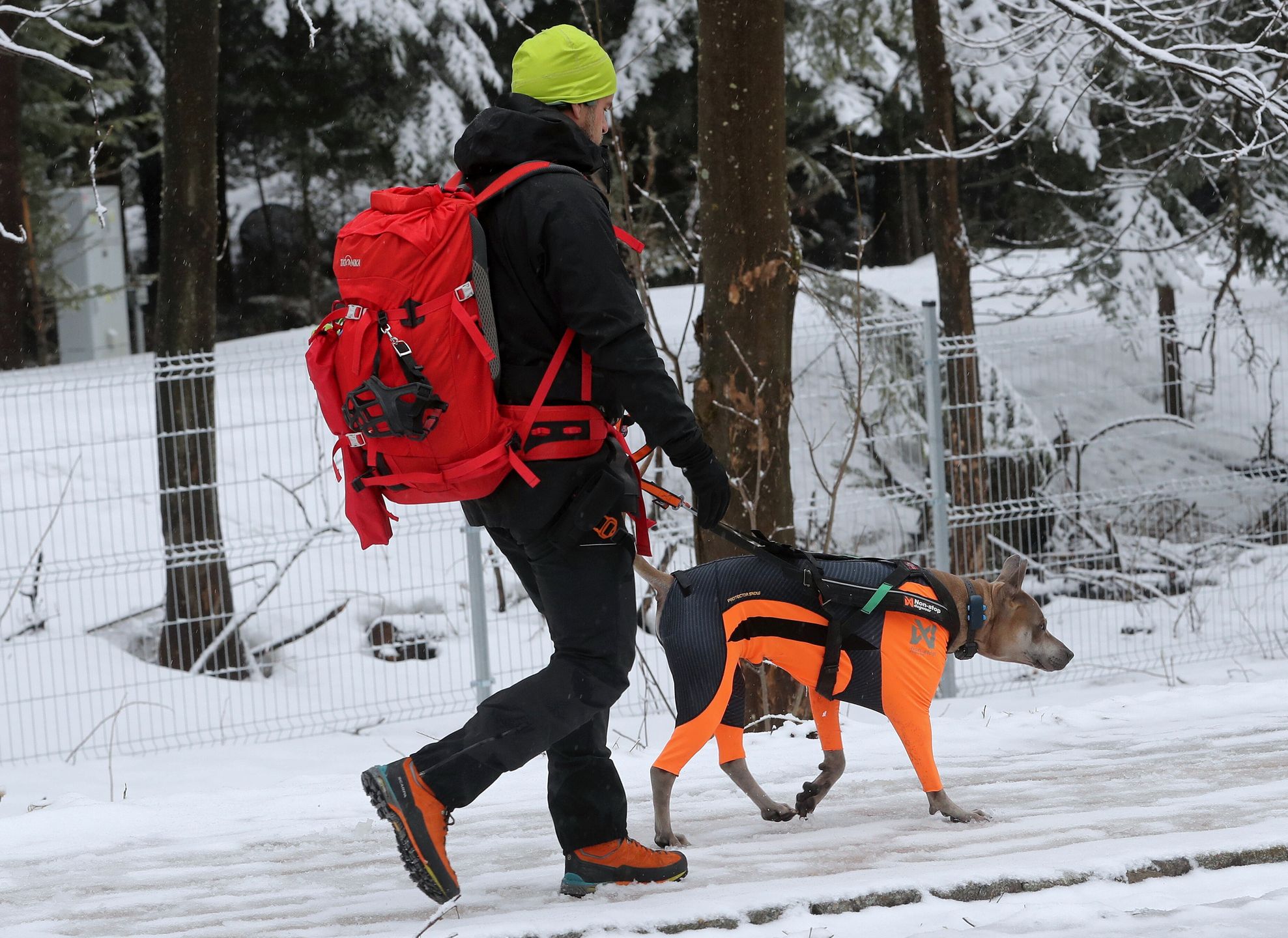 Zakopane 01.04.2022. Opady śniegu w Zakopanem. Po okresie słonecznej, wiosennej pogody temperatura się obniżyła i spadł śnieg. (kf) PAP/Grzegorz Momot