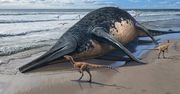 Paleontolodzy odkryli szczątki największego znanego gada morskiego