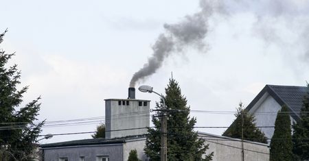 Polacy będą palić mokrym drewnem. "Powietrze będzie fatalne"