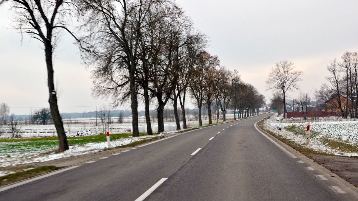Na drogach gminnych i wojewódzkich pojawią się nowe znaki, a inne zostaną usunięte. Dotyczą kierowców ciężarówek.